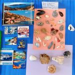 Okazy z morza oraz broszury