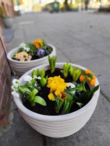 przygotowania do wiosny