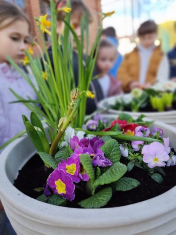 przygotowania do wiosny