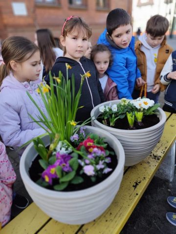 przygotowania do wiosny