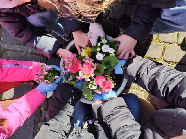 przygotowania do wiosny