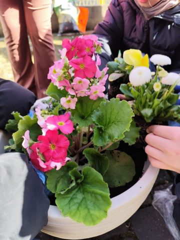 przygotowania do wiosny