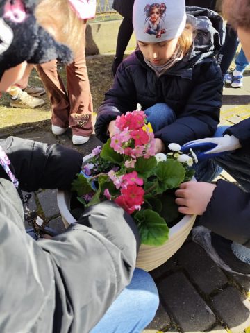 przygotowania do wiosny