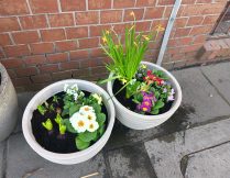 Więcej o Klasa 1 b czeka na Wiosnę 🌸🌼🌷