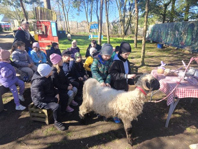 Udział w Warsztatach Wielkanocnych w Alpakowym Gaju w Bobolinie.