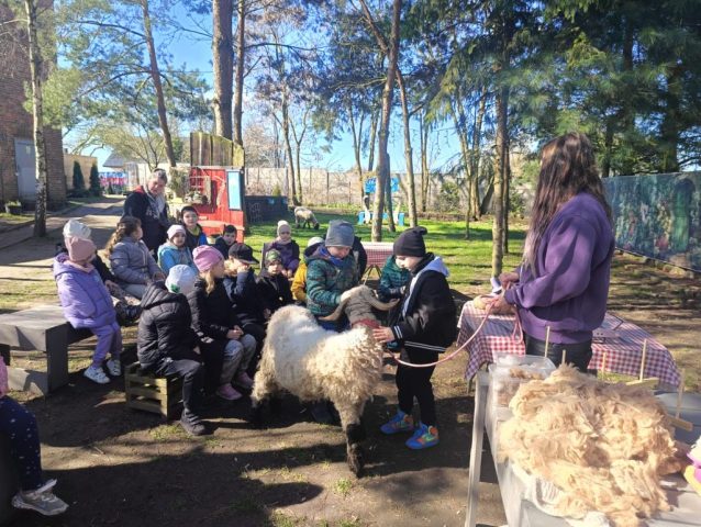 Udział w Warsztatach Wielkanocnych w Alpakowym Gaju w Bobolinie.
