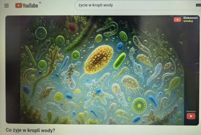 zdjęcie przedstawia mikroorganizmy w kropli wody