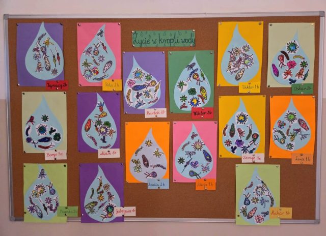 prace plastyczne "Życie w kropli wody"