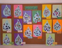 Więcej o 🔬💧 Życie w kropli wody – odkrywamy mikroświat 💧🔬