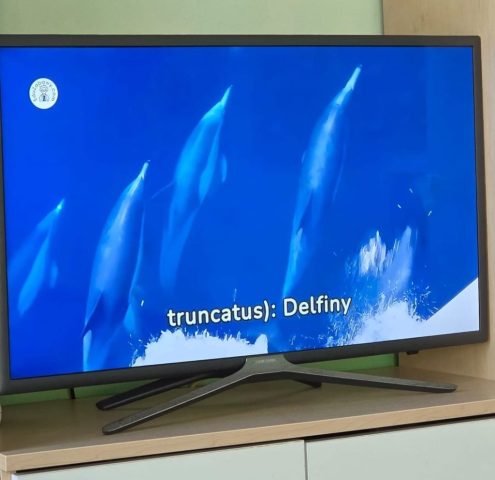 ,,Życie w kropli wody" - projekt edukacyjny