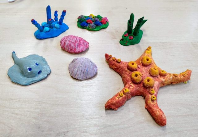 ,,Życie w kropli wody" - projekt edukacyjny