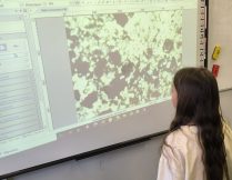 Więcej o 🔬🌱 Tajemnice życia w glebie – lekcja biologii w klasie 5a 🦠🔎